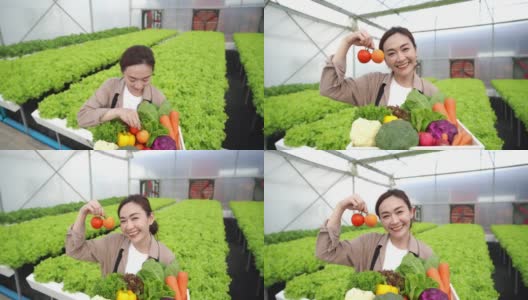 4K亚洲女农民在水培温室种植园拿着一箱蔬菜的肖像。高清在线视频素材下载