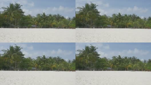 马尔代夫美丽的热带海滩，白色的沙滩和棕榈树高清在线视频素材下载