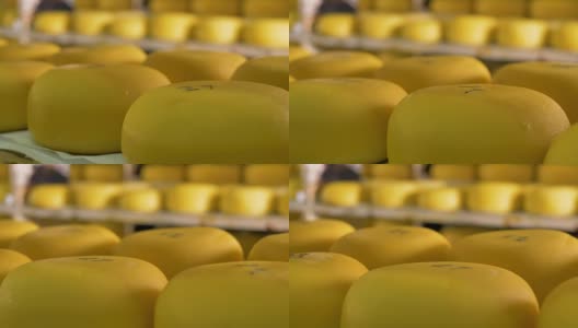 在奶酪工厂有组织地储存奶酪。高清在线视频素材下载