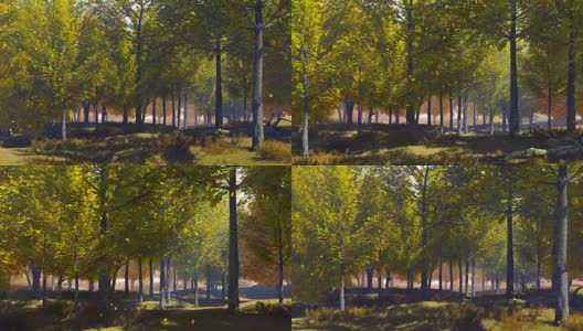 秋叶飘落的森林慢镜头动画高清在线视频素材下载