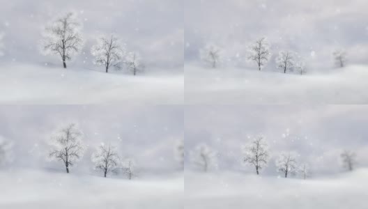 冬天的平原上有大量的落叶树木高清在线视频素材下载