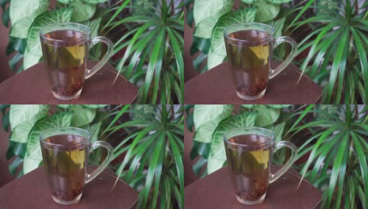 在绿色植物的背景下，一杯芳香的茶。美味的热饮。高清在线视频素材下载