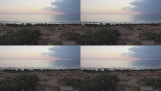塞浦路斯岛上阿伊纳帕的地中海沿岸岩石上的海边植物高清在线视频素材下载
