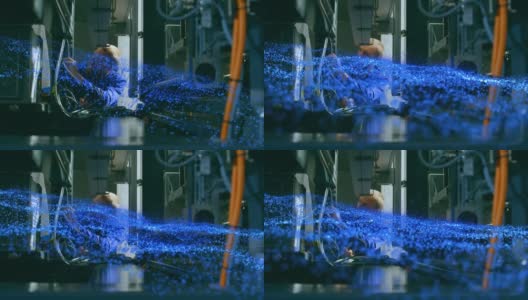 动画的蓝色发光网格男性科学家与机器人高清在线视频素材下载