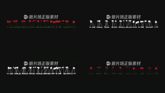 红色大丽花+阿尔法高清在线视频素材下载