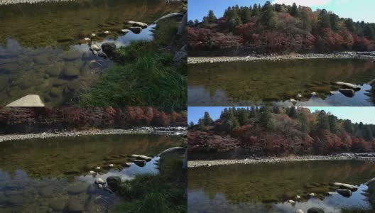 电影倾斜:与日本名古屋秋红叶相映的古莲阁森林公园高清在线视频素材下载