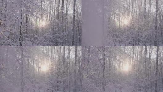 冬季降雪透过阳光照射在蓝天的背景高清在线视频素材下载