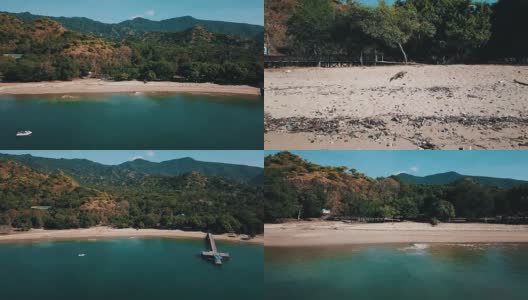 科莫多龙在海滩上行走和揭示拍摄的科莫多国家公园印度尼西亚4K高清在线视频素材下载