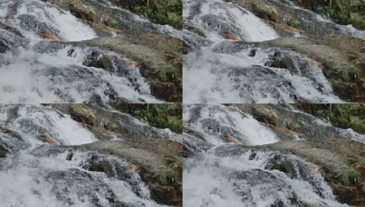 绿色自然小溪，绿色溪流，自然镜头概念高清在线视频素材下载