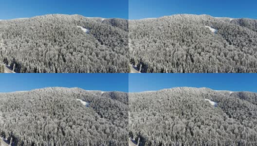 山里的冬天。冬季森林从鸟瞰。山上的树被白雪覆盖。蓝色的天空。用四轴飞行器拍摄。高清在线视频素材下载