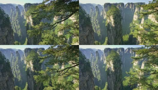 全景拍摄的垂直悬崖在武陵源在张家界，湖南，中国。前景中有球果的松树。春天夏天晴天。无人机。4 k, UHD高清在线视频素材下载