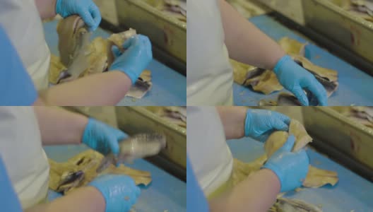 工人正在清理新鲜的海鱼并将其切成片。背切鱼骨并分离鱼片，去除内脏。高清在线视频素材下载