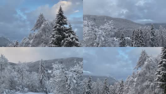 日出越过白雪覆盖的高山和树木高清在线视频素材下载