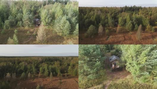 木屋在荷兰的秋天森林，木屋脱离了网格，木屋被五颜六色的黄色和红色的秋天树环绕高清在线视频素材下载