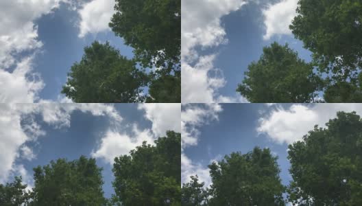 夏季树冠与蓝天在市中心高清在线视频素材下载