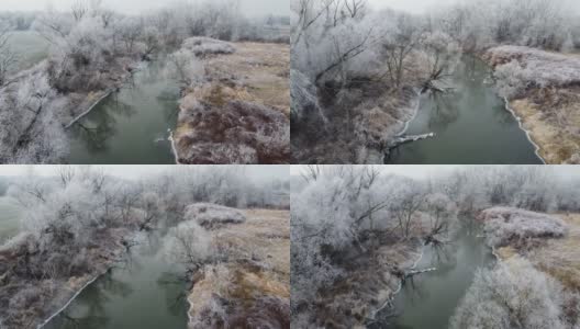 冬天河岸上结霜的树木和灌木在寒冷的日子里无人驾驶飞机高清在线视频素材下载