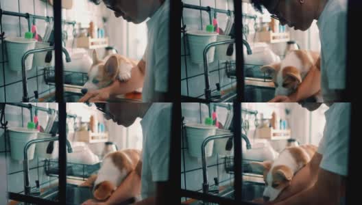 早上，一个男人和他可爱的小狗在厨房工作。高清在线视频素材下载