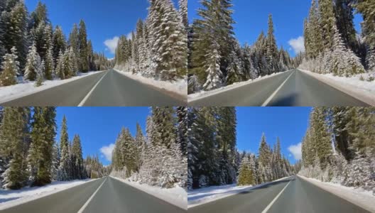 驾车的观点，在雪地的乡村道路穿过雪白的森林高清在线视频素材下载