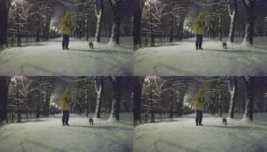 被训练用皮带走路的猫。傍晚，一个穿着黄色夹克的女人带着她的猫走在一个冬季公园的雪道上。高清在线视频素材下载