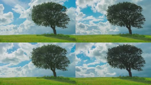 绿树在多云的天空下生长的时间间隔高清在线视频素材下载