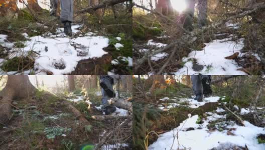 阳光明媚的日子里，年轻的徒步旅行者在松林里爬山。初春时分，陌生的男性游客走在美丽的山间松林上。旅行的概念。后视图近景慢动作高清在线视频素材下载