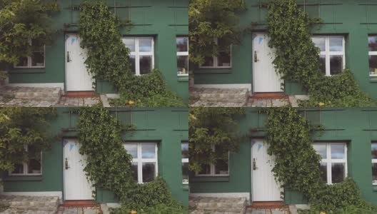 覆盖着绿色常春藤的房子的外墙高清在线视频素材下载
