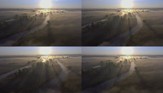 空中日出和雾在树梢在农村高清在线视频素材下载