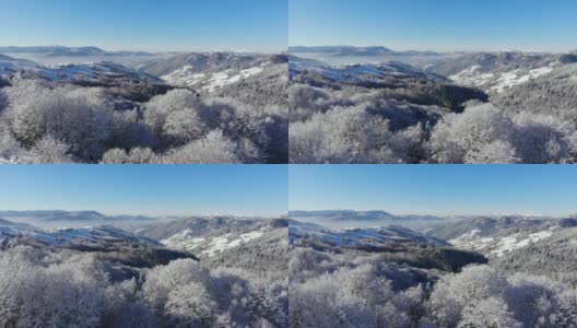 山里的冬天。冬季森林从鸟瞰。山上的树被白雪覆盖。蓝色的天空。用四轴飞行器拍摄。高清在线视频素材下载