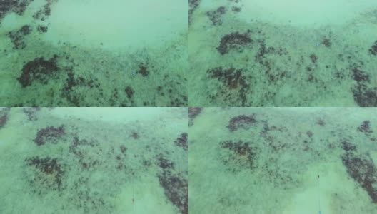 在热带岛屿的珊瑚绿松石海下的无人机视图，暑假高清在线视频素材下载