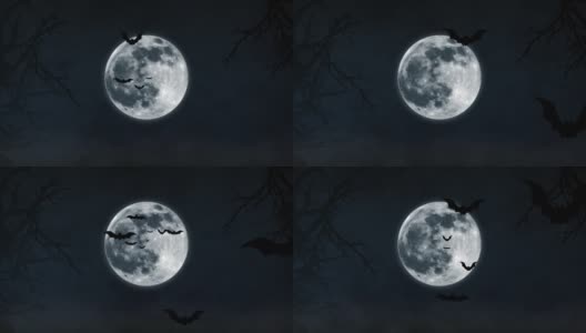 蝙蝠飞行动画。月夜背景上的万圣节蝙蝠。高清在线视频素材下载