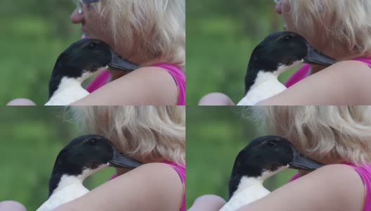 一个老太太怀里抱着一只黑色家鸭的特写镜头。高清在线视频素材下载
