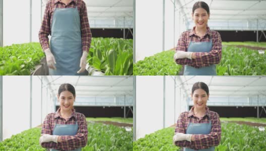 现代水培蔬菜大棚农场里，亚洲女农主手挽着手，微笑幸福地望着镜头。高清在线视频素材下载