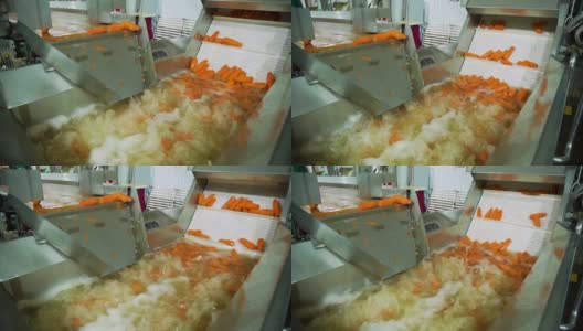胡萝卜洗净，洗净，晾干。罐头厂。蔬菜加工自动化生产线高清在线视频素材下载