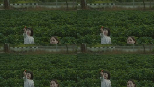 有趣的女儿在农场摘草莓高清在线视频素材下载