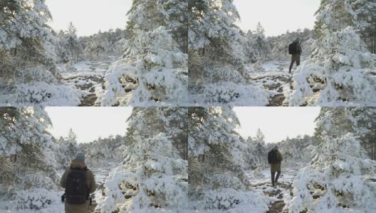 埃斯波附近白雪覆盖的森林。芬兰高清在线视频素材下载