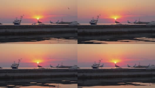海鸥和小船在海上，日落海洋的景象高清在线视频素材下载
