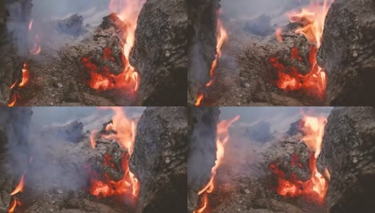 一棵烧焦的树的煤块上的火和烟。森林大火。高清在线视频素材下载