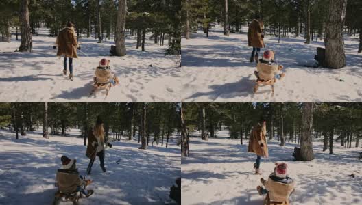 妈妈和孩子在雪天公园玩雪橇高清在线视频素材下载