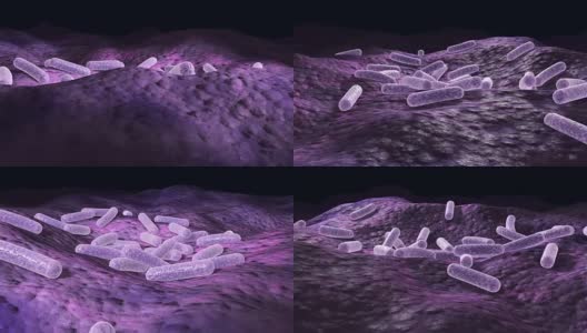 细菌表面的微观3d动画，360度循环视频高清在线视频素材下载