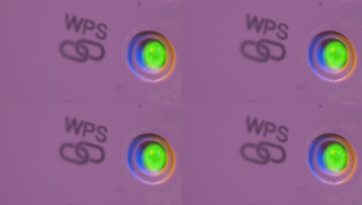 WiFi中继器中WSP符号的Cinemagraph闪烁信号连接状态led灯高清在线视频素材下载