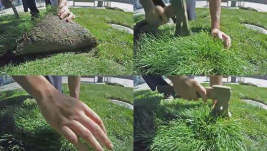 工人用斧头割草，这是一个新草坪的慢动作高清在线视频素材下载