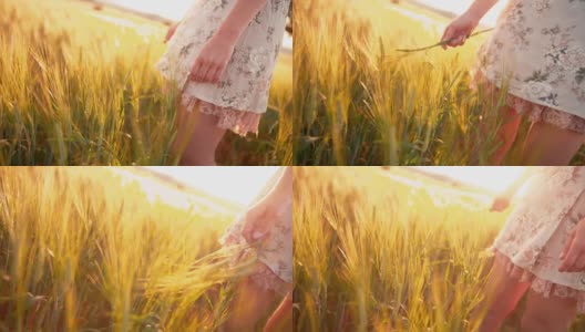 一个浪漫的女人在田里抚摸着麦穗高清在线视频素材下载
