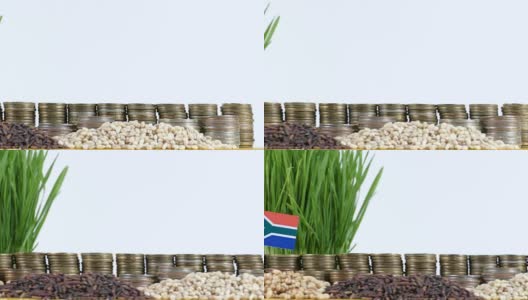 南非国旗飘扬着一堆硬币和一堆堆小麦高清在线视频素材下载