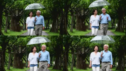 一对老夫妇在雨季在公园散步高清在线视频素材下载