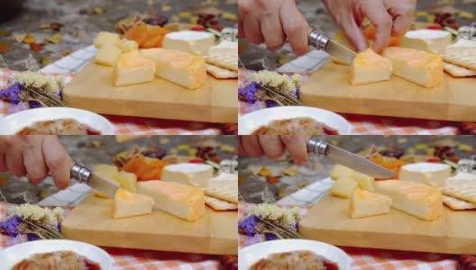 一个女人的手切欧洲奶酪在奶酪拼盘吃的镜头，享受野餐时间在热带花园。高清在线视频素材下载