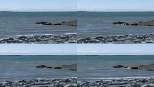 一个春天的下午，苏格兰的岩石海岸高清在线视频素材下载
