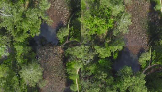 森林湖杂草丛生的春天，垂直鸟瞰高清在线视频素材下载