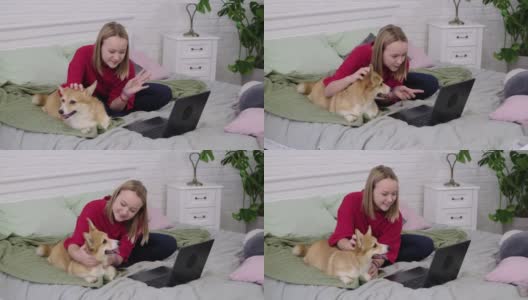 十几岁的女孩和有趣的柯基狗和笔记本电脑在家里的床上。舒适的工作环境，在线教育，E-learning理念。与笔记本电脑远程通信高清在线视频素材下载
