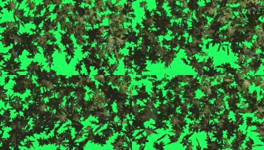 3D动画的秋叶飘落在绿色的屏幕上。秋天的季节背景。高清在线视频素材下载