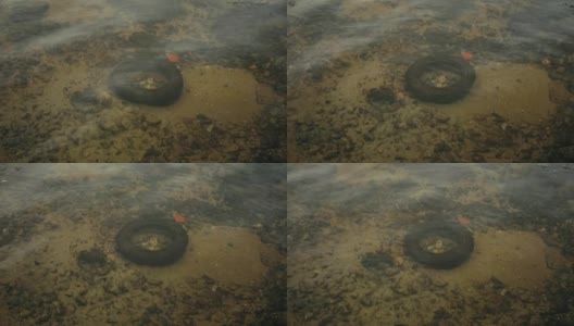 河底的旧橡胶轮胎。环境问题高清在线视频素材下载